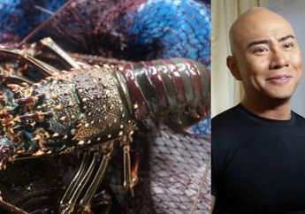 Kenali Lobster Mutiara, Lobster Termahal dan Langka yang Dimakan Deddy Corbuzier