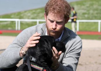 7 Foto Ini Buktikan Pangeran Harry Adalah Penyayang Binatang. Cute!