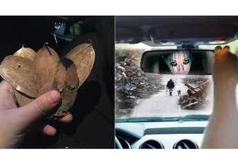 Cerita Misterius Sopir Grab, Penumpang Hilang dan Uang Berubah Menjadi Daun