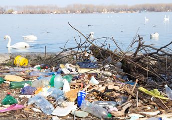 Apakah Bioplastik Dapat Menjadi Solusi Atas Permasalahan Plastik?