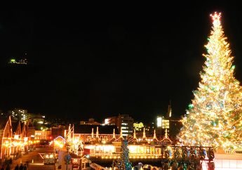 Natal 2018: 8 Tradisi Perayaan Natal di Jepang, dari Menyaksikan Parade Disney Hingga Makan Ayam Goreng