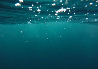 Ganggang Laut Berfotosintesis Menciptakan Gelembung Udara di Laut dan Bunyi 'Ping'