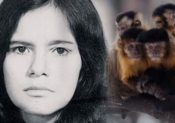 Kisah Pilu Marina Chapman, Dirawat oleh Kera hingga Dijadikan Budak Nafsu oleh Para Pemburu usai Dibuang ke Hutan saat Masih Balita