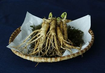 Memiliki Banyak Khasiat, Ini Dia 3 Manfaat Utama Ginseng Terhadap Kesehatan Rambut Kita!
