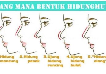 Cara Mudah Tebak Karakter Orang dari Bentuk Hidung, Kamu yang Mana? 