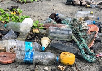 Jenis Sampah Paling Banyak di Bumi, 60 Juta Diantaranya Puntung Rokok 