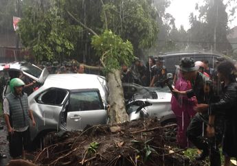 Satu Pengendara Wanita Tewas Setelah Tertimpa Pohon Tumbang Akibat Puting Beliung yang Terjang Bogor
