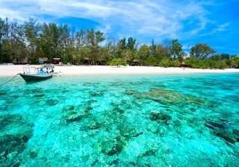 Bagaimana Laut Menyembuhkan Dirinya Sendiri Selama Pandemi?