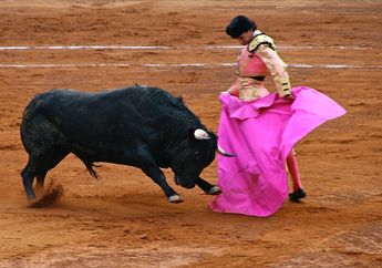 Bukan dengan Pedang, Petarung di Cina Gunakan Seni Bela Diri Kungfu dan Gulat untuk Adu Banteng