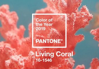 Pantone Pilih Warna 'Living Coral' Sebagai Warna di Tahun 2019!