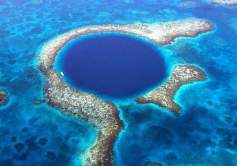 Berhasil Capai Bagian Dasar Great Blue Hole Pertama Kali, Seorang Penyelam Ungkap Isi Lubang Raksasa Bawah Laut Itu