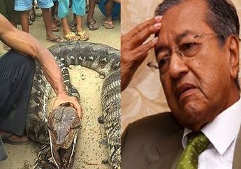 Berita Terpopuler 2018: Warga Sumatera Selatan Bunuh Ular Piton yang Perutnya Membesar Hingga Atlet Pencak Silat Malaysia Mengamuk dan Rusak Fasilitas