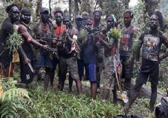 2 Tongkat Kamando Diduga Milik Lekagak Telenggen, Pimpinan KKB Paling Berbahaya di 'Segitiga Hitam' Papua Ditemukan TNI