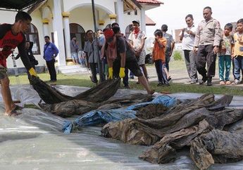 Puluhan Kerangka Manusia Korban Tsunami Aceh Ditemukan Saat Gali Septic Tank, Pekerja Sempat Bermimpi Didatangi Pencari Kutu