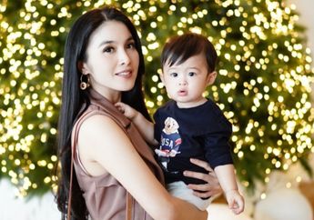Gemas! Lucunya Tingkah Anak Sandra Dewi, Raphael Moeis, Saat Makan Stroberi Besar di Jepang