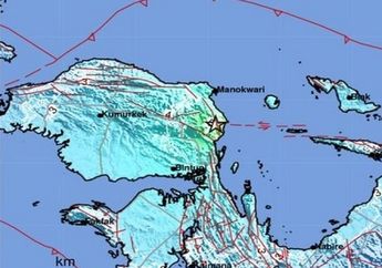Manokwari Diguncang Gempa, Warga Berlarian Selamatkan Diri Takut Datangnya Tsunami