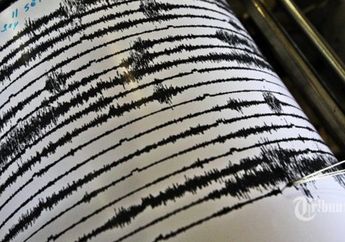 Dua Hari Pasca Tahun Baru 2019, BMKG Informasikan Sudah 8 Gempa Bumi Terjadi di Indonesia