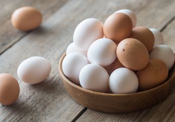 Mengapa Telur Berbentuk Oval? Aristoteles pun Sempat Dibuat Bingung