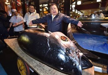 Fantastis! Ikan Tuna Ini Terjual Rp 43 Miliar, Ini Dia Sosok Pembelinya