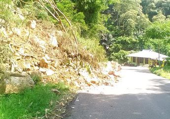 Longsor di Flores, Batu hingga Pohon Besar Menutupi Badan Jalan
