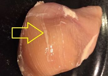 Jangan Mentang-mentang Murah Langsung Beli, Ayam dengan Ciri-ciri Ini Sangat Nggak Layak Konsumsi, Efeknya Bikin Sekeluarga Sakit-sakitan