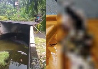 Tewas Dimangsa Buaya Peliharaan, Tubuh Jenazah Korban Hanya Sisa Bagian Ini Saja