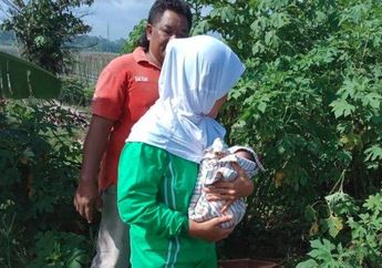 Baru Dilahirkan, Sesosok Bayi Laki-laki Ditemukan dalam Kardus di Tempat Pembuangan Anak Kucing