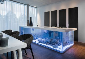 Apa Benar Letakan Aquarium Kearah Timur Rumah Bisa Datangkan Rejeki Berlimpah?