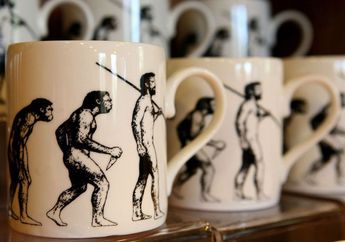 Akibat Evolusi, 9 Bagian Tubuh Manusia ini Bahkan Tidak Dibutuhkan Lagi