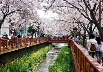 4 Lokasi Wisata Anti Main Stream di Korea Selatan! Wajib Datang!