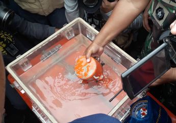 Simpan Rekaman Percakapan Pilot dan ATC, Data CVR Black Box Lion Air JT 610 yang Jatuh di Tanjung Karawang Mulai Terbaca