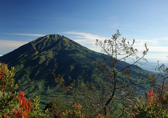 Berencana Kunjungi Kawasan Gunung Merbabu? Catat Dulu Persyaratannya!
