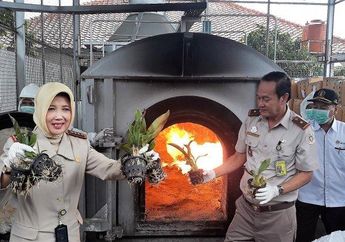 Kembali Temukan Larva Lalat di 630 Kg Buah Jambu Asal Thailand, Balai Karantina: Bisa Saja Ancaman Bio Terorisme