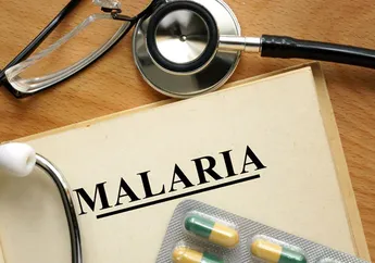 5 Tips Menjaga Tubuh agar Terhindar dari Penyakit Malaria di Musim Hujan