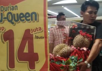 Sudah Laku Terjual di Tasikmalaya, Ini Ternyata Ini Alasan Durian J-Queen Dihargai Rp 14 Juta Per Buah