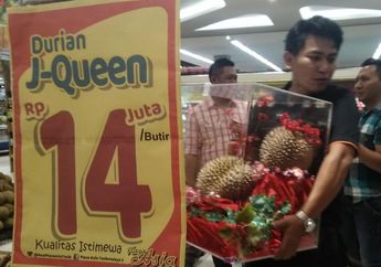 Durian J-Queen Dibandrol 14 Juta Rupiah Per Buah, Sang Pemilik Ungkap Alasannya!