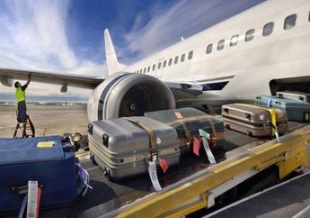 Tak Mau Bayar Bagasi Pesawat, Pria Ini Rela Pakai 15 Lapis Baju untuk Kurangi Muatan Koper