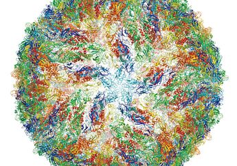 Melihat Bentuk dan Warna Virus dengan 'Tembakan' Mikroskop Cryo-EM