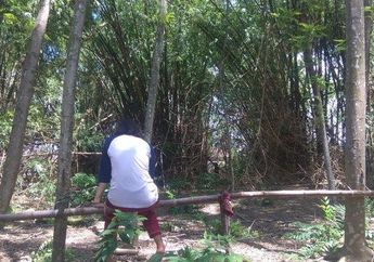 Diduga Hilang Dibawa Makhluk Halus, Bocah 10 Tahun Asal Mojokerto Ditemukan Tewas di Kubangan Air