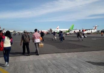 Saking Sepinya, Maskapai Penerbangan Hanya Angkut 4 Orang Saja Sekali Terbang