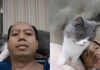 Kenalan dengan Pussy Moza, Kucing Peliharaan Sutopo Purwo Nugroho yang Setia Temani Sang Majikan saat Terbaring Sakit