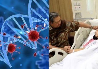 Waspada! 5 Tipe Orang Ini Rentan Terkena Leukimia, Penyakit yang Diderita Ani Yudhoyono