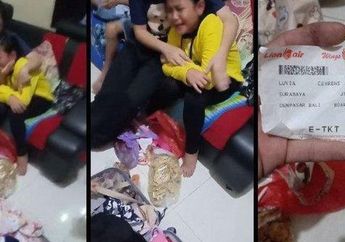Uang Angpau Rp 4 Juta Milik Seorang Bocah Hilang di Bagasi Pesawat, Ia Menangis Sejadi-jadinya