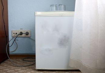 Menghilang Selama 18 Tahun, Mayat Wanita Ini Ditemukan dalam Freezer!