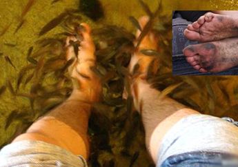 BERITA TERPOPULER: 10 Tahun Tak Cuci Kaki, Ikan-ikan di Spa Mati Usai Pria Ini Celupkan Kakinya Sampai BJ Habibie Rela Keluar RS Demi Jadi Saksi Nikah Anak ART