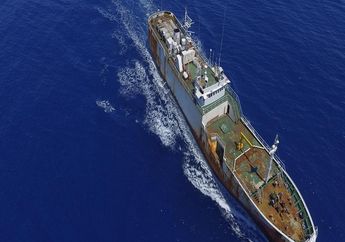 Kronologi Kapal Perampok Ikan Dunia Andrey Dolgov Dibekuk TNI AL