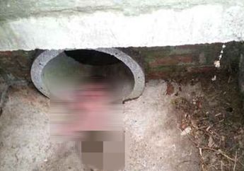 Dibuang di Selokan Air, Bayi ini Berhasil Selamat Meski Ditemukan Tengah Dikerubungi Semut Merah