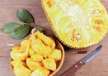 Daun Pohon Ini Ternyata Bermanfaat Bagi Kesehatan Tubuh, Salah Satunya Tingkatkan Produksi ASI