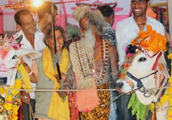 Kocak! 7 Hal Unik ini Cuma Ada di India, dari Pernikahan Mewah Sapi Hingga Kain Sari Kekinian