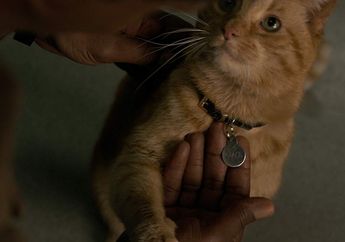 3 Karakter Unik Ini Jadi Scene Stealer di Film &lsquo;Captain Marvel'!